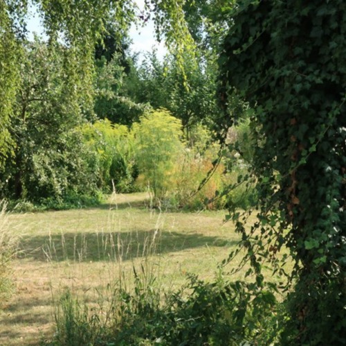 Veranstaltungshinweis KEB Sachsen-Anhalt e.V. | Picknickkonzert Musik auf der Streuobstwiese