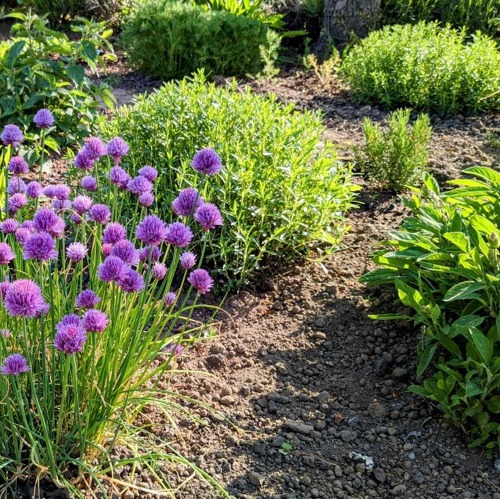 Fachvortrag "Integrierter Pflanzenschutz" am 15.11.2025